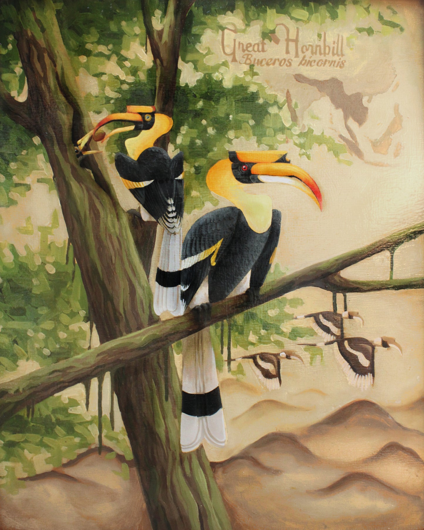 Great Hornbill Original Oil Painting