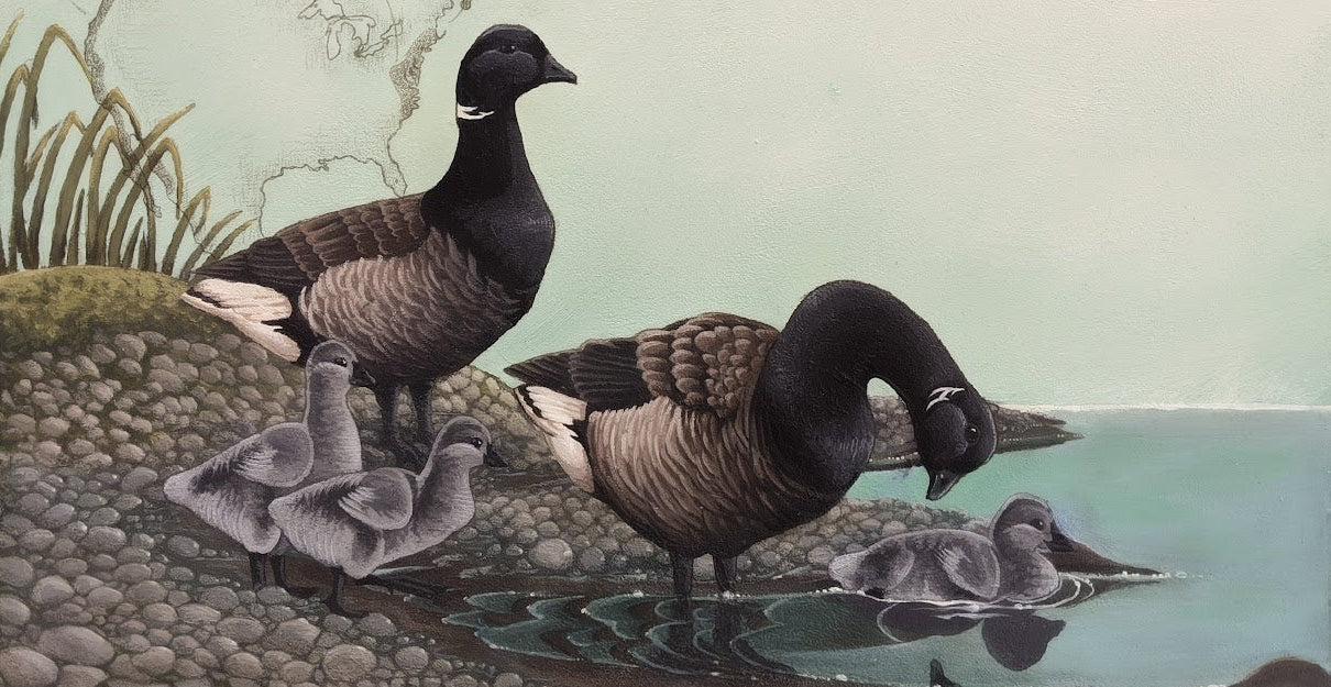 Brant Digital Print