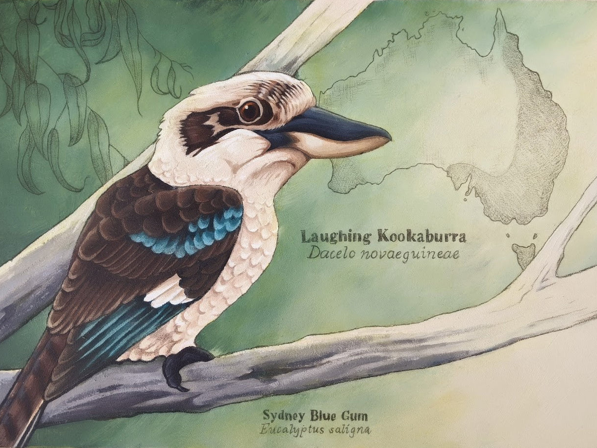 Laughing Kookaburra Digital Print