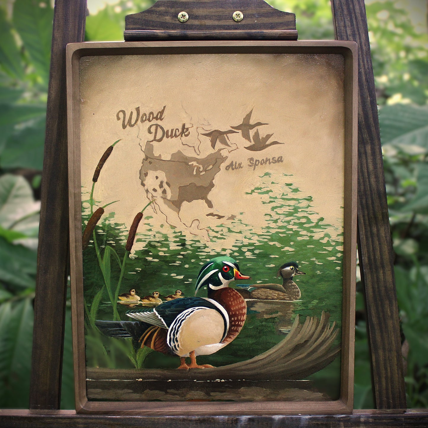 Wood Duck Original Oil Painting