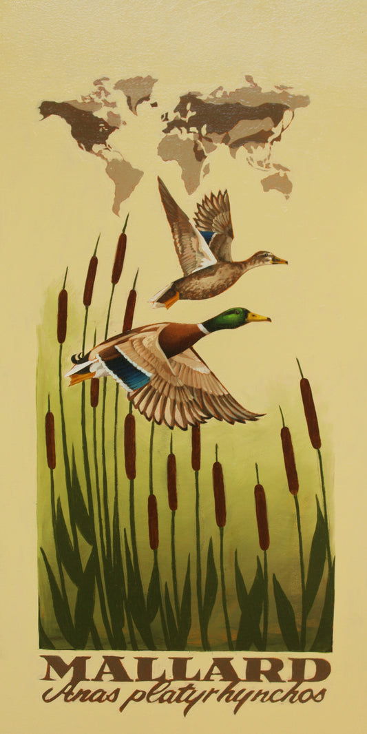 Mallard Original Oil Painting