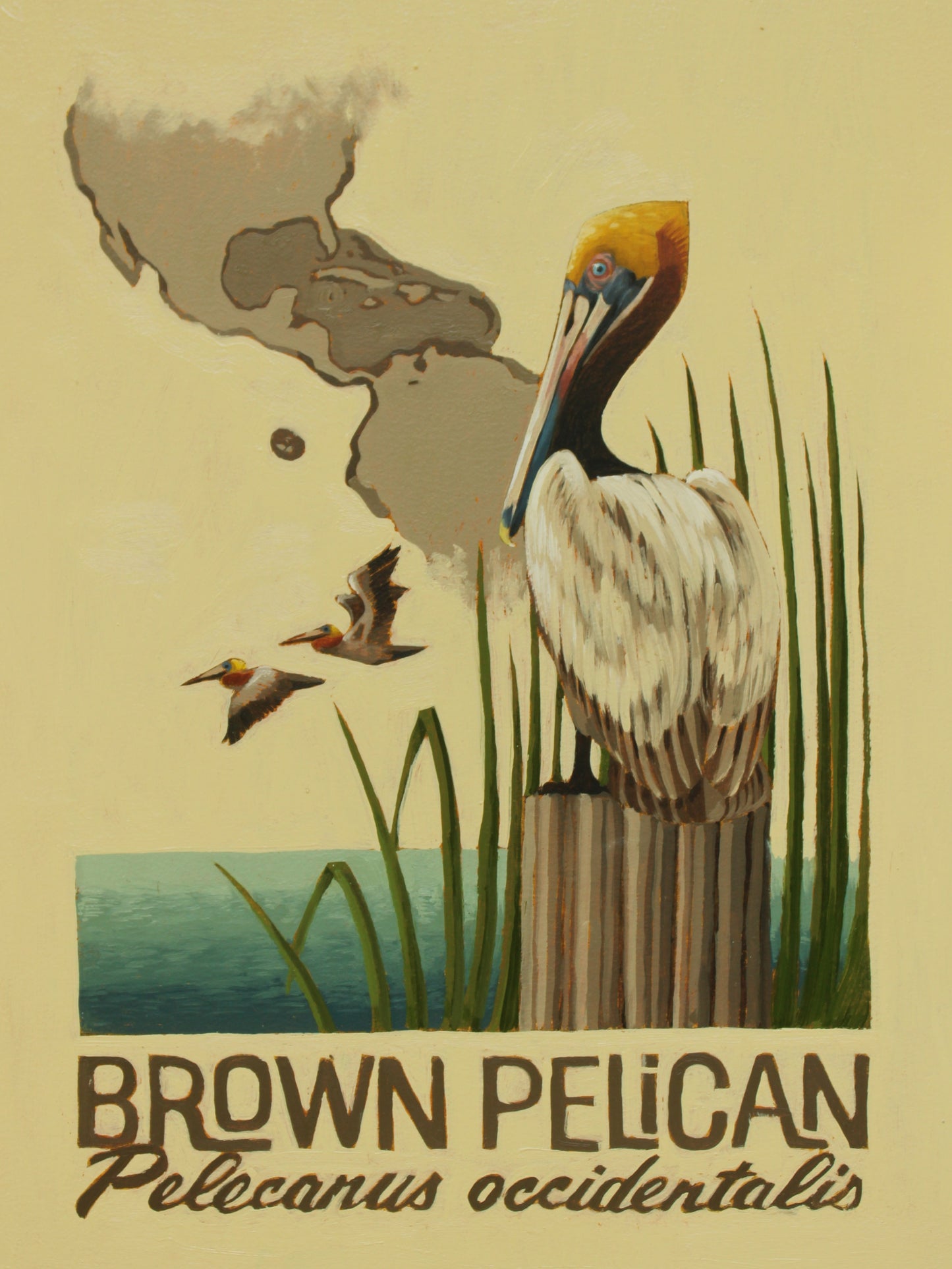 Brown Pelican Original Oil Painting