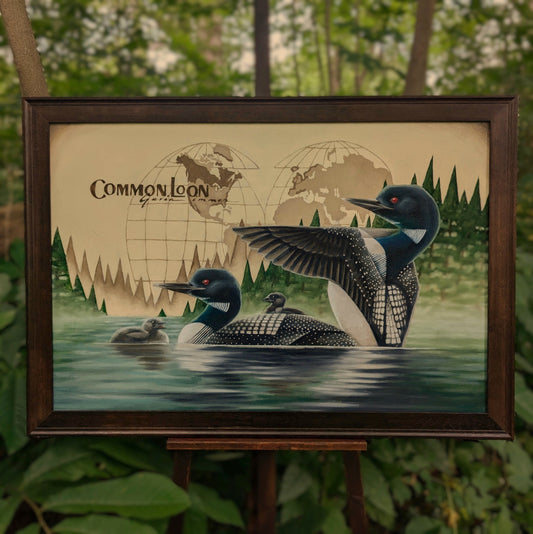 Common Loon Giclée Print