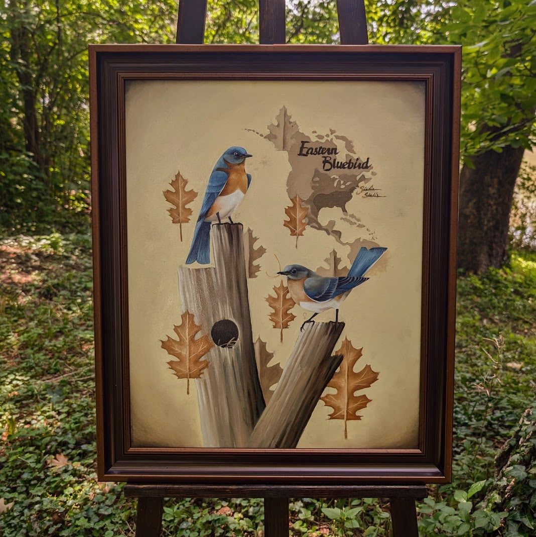 Eastern Bluebird Giclée Print