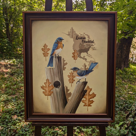 Eastern Bluebird Giclée Print