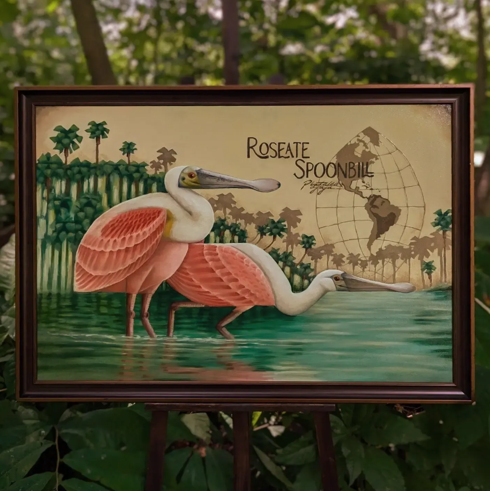 Roseate Spoonbill Giclée Print