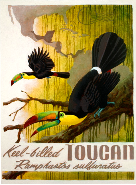 Keel-billed Toucan Original Oil Painting