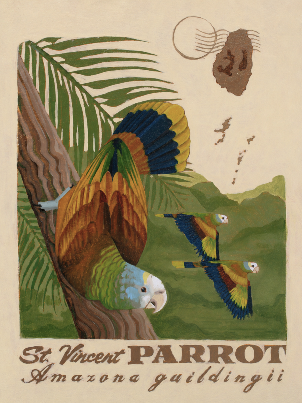 St. Vincent Parrot Giclee Print