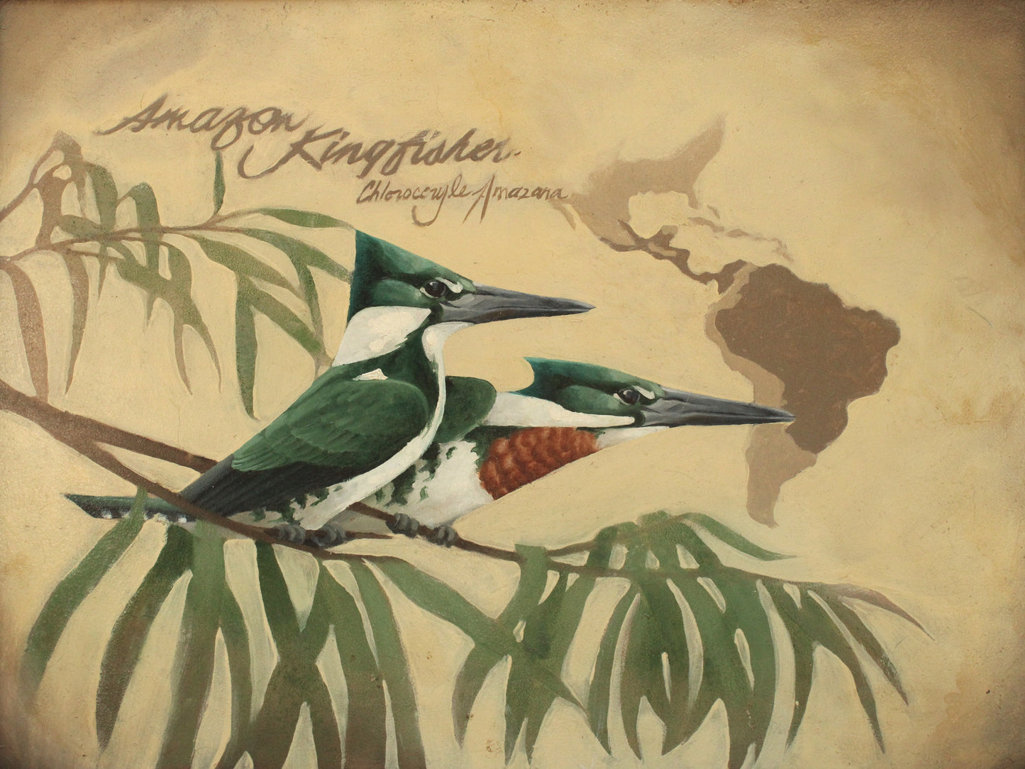 Amazon Kingfisher Original Oil Painting