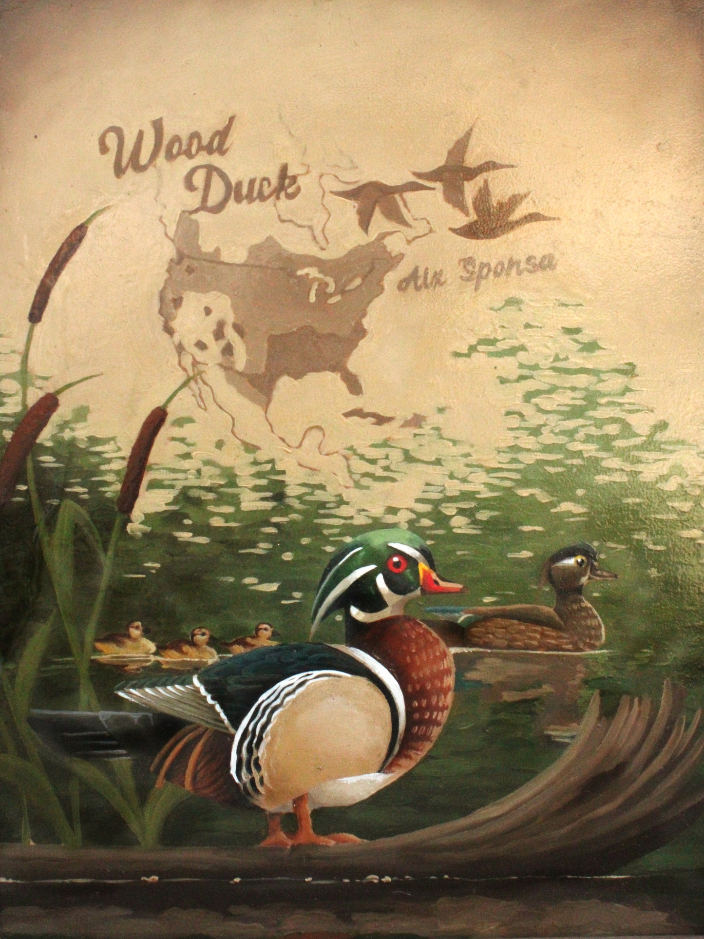 Wood Duck Original Oil Painting
