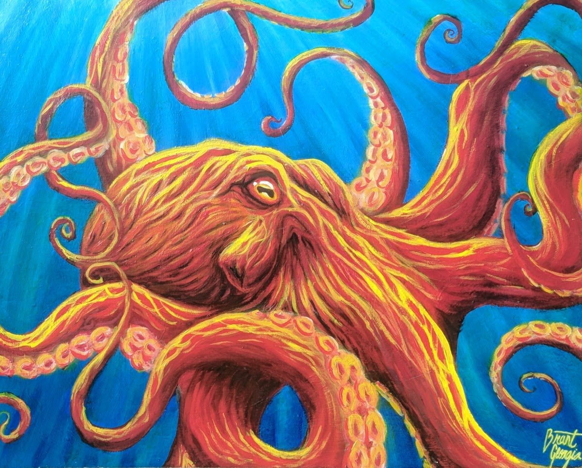 Pacific Octopus Digital Print