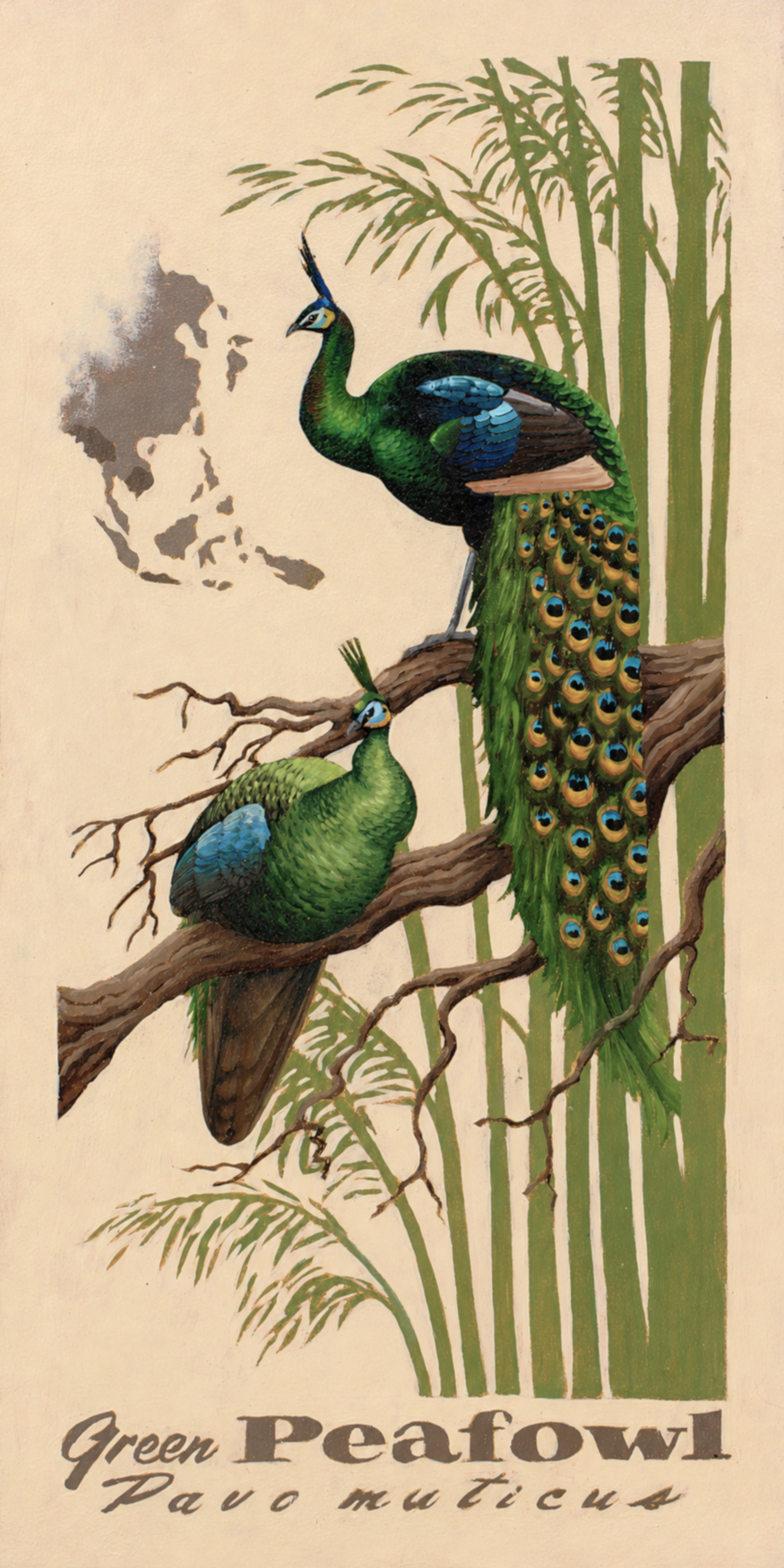 Green Peafowl Original Oil Painting