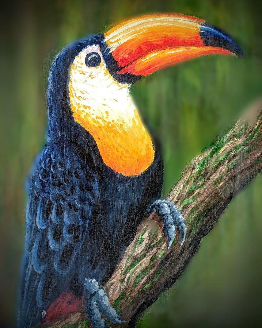 Toco Toucan Digital Print