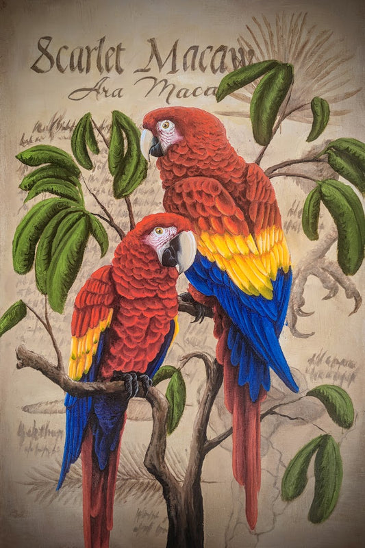 Scarlet Macaw Digital Print