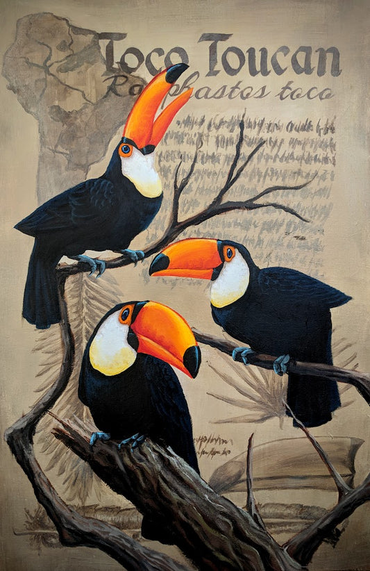 Toco Toucan Digital Print