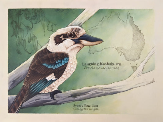 Laughing Kookaburra Digital Print