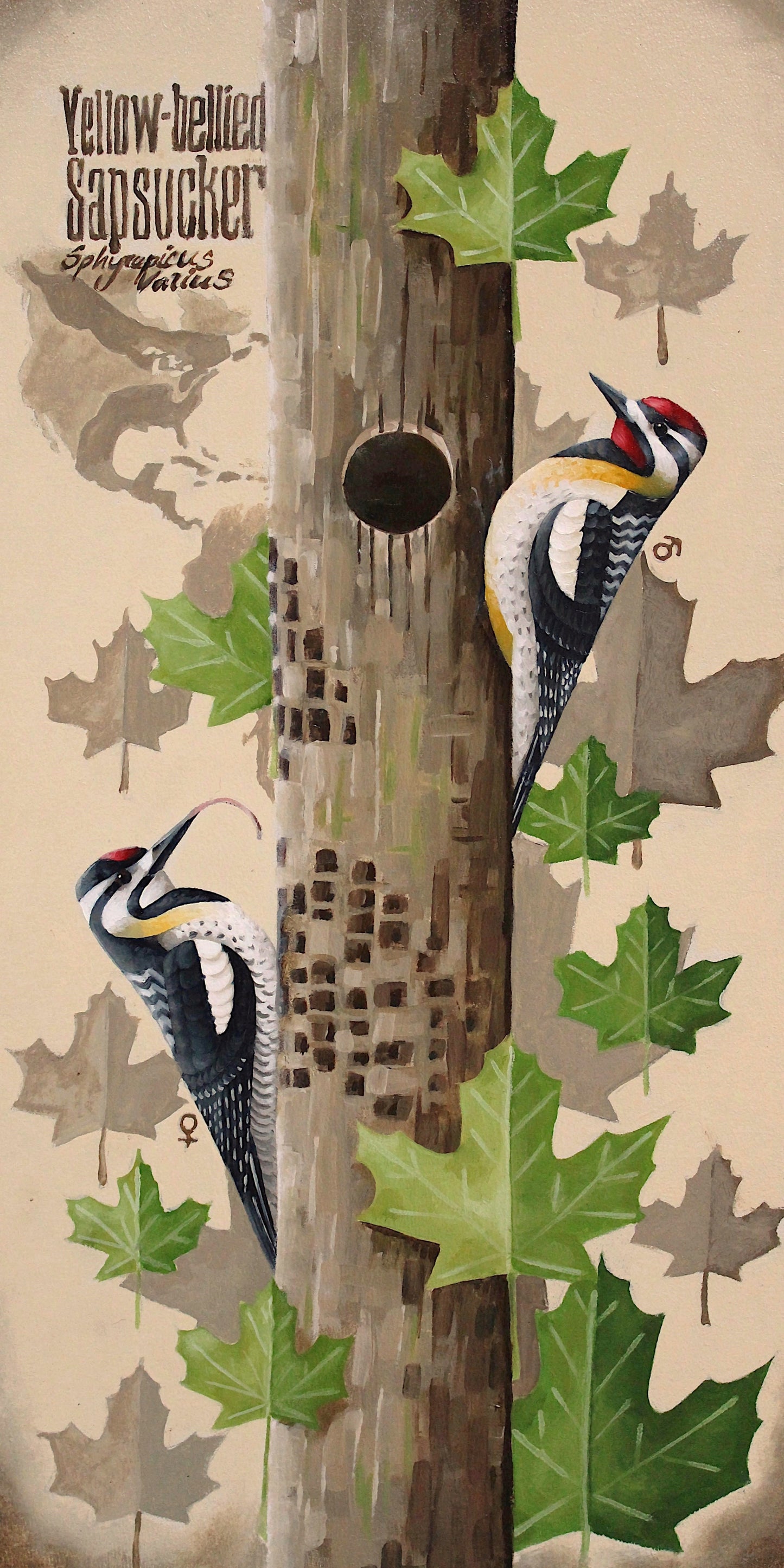 Yellow-bellied Sapsucker Original Oil Painting