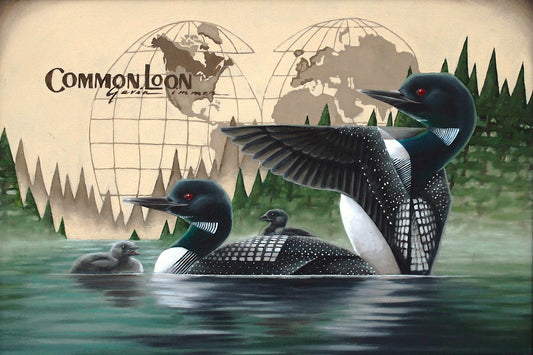 Common Loon Giclée Print