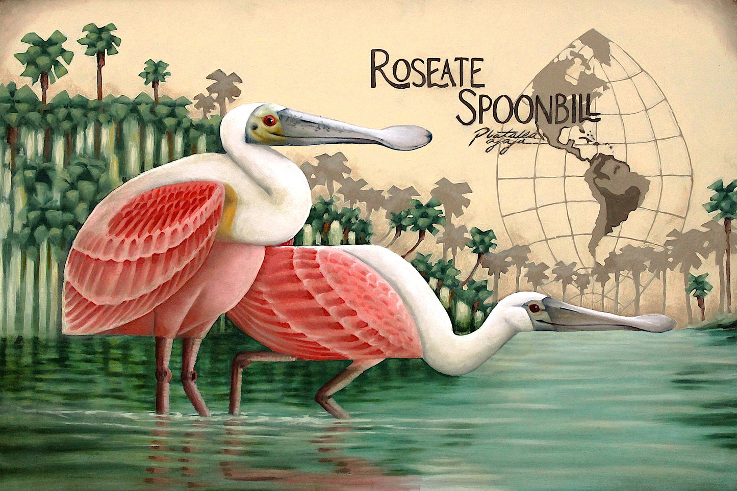 Roseate Spoonbill Vinyl Sticker