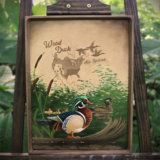 Wood Duck Original Oil Painting