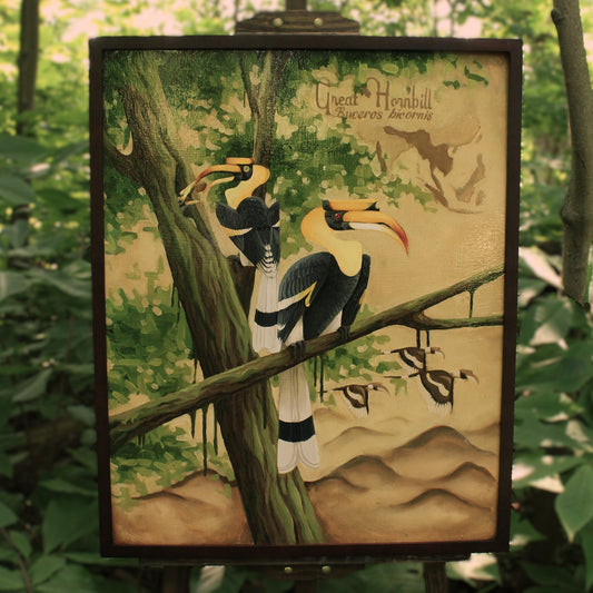 Great Hornbill Original Oil Painting