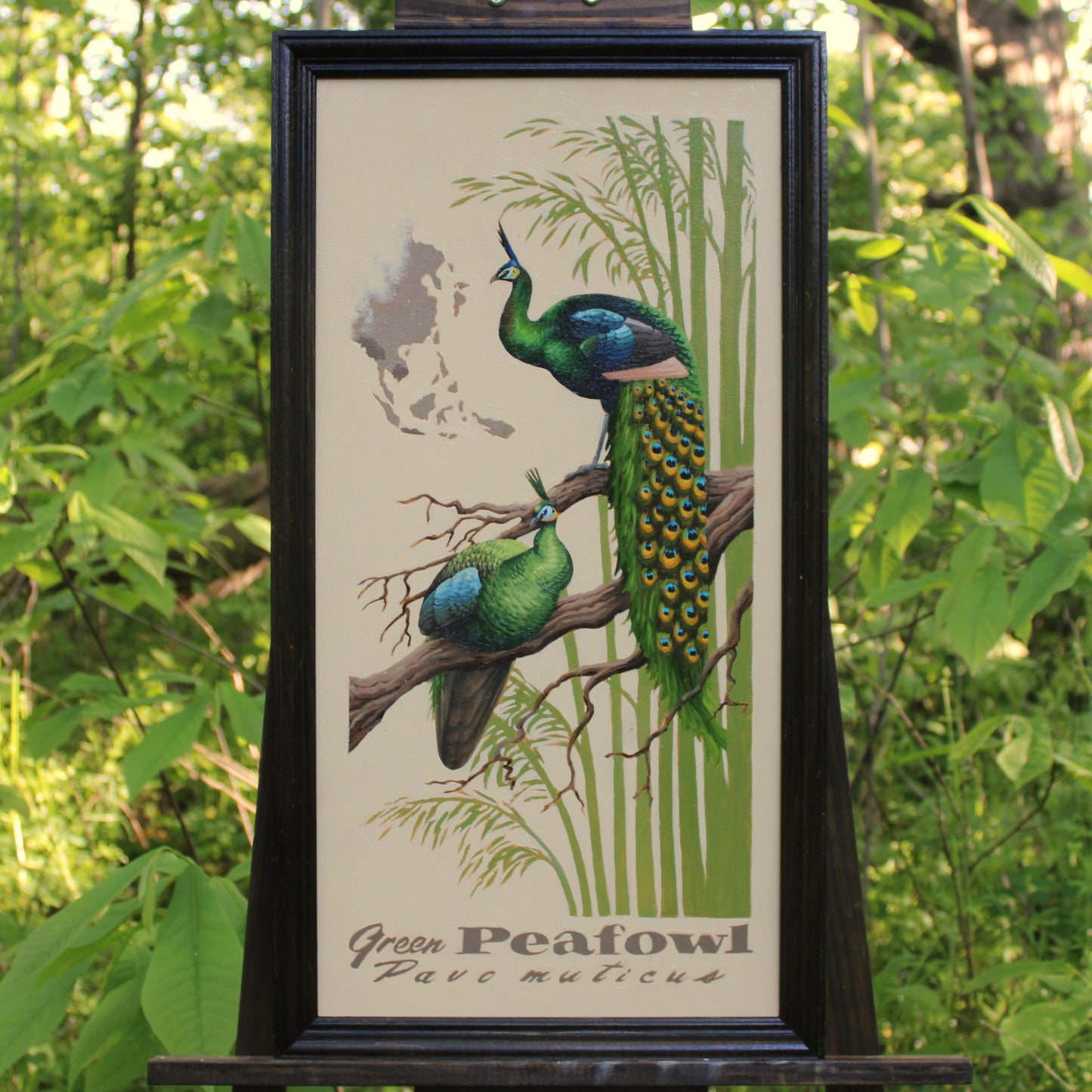 Green Peafowl Original Oil Painting