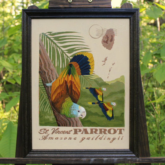 St. Vincent Parrot Original Oil Painting