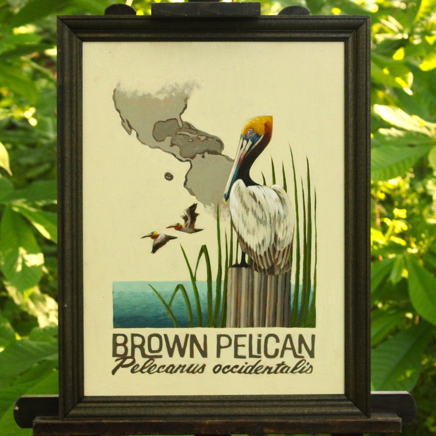 Brown Pelican Original Oil Painting