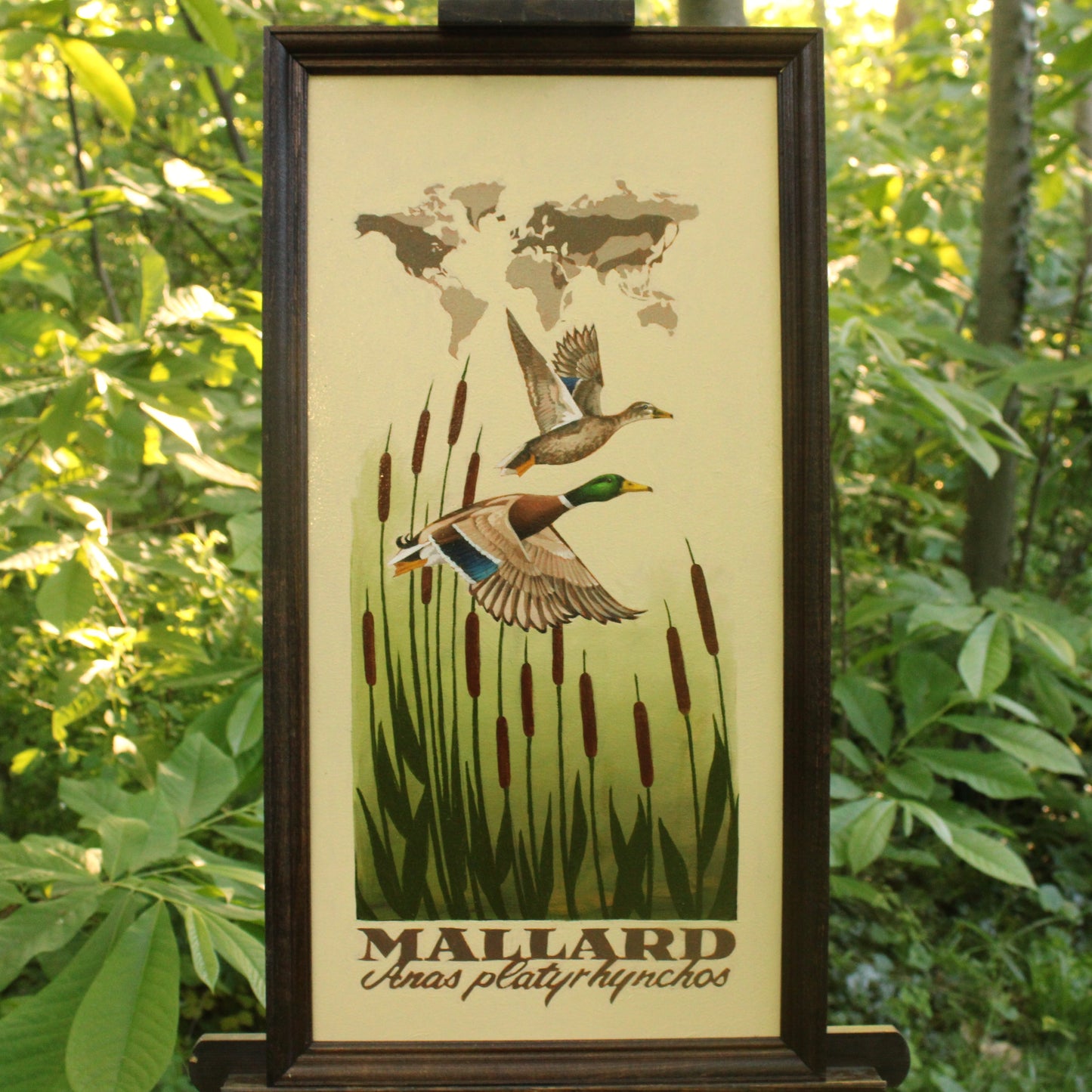 Mallard Original Oil Painting