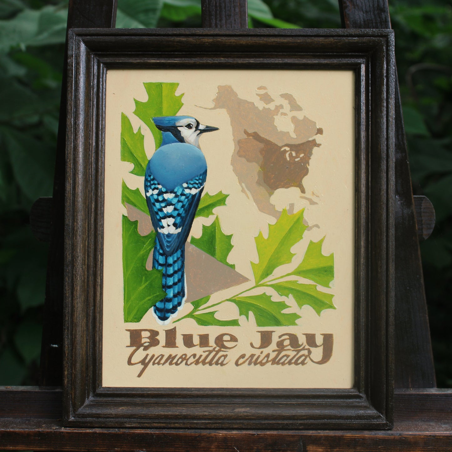 Blue Jay Original Oil Painting