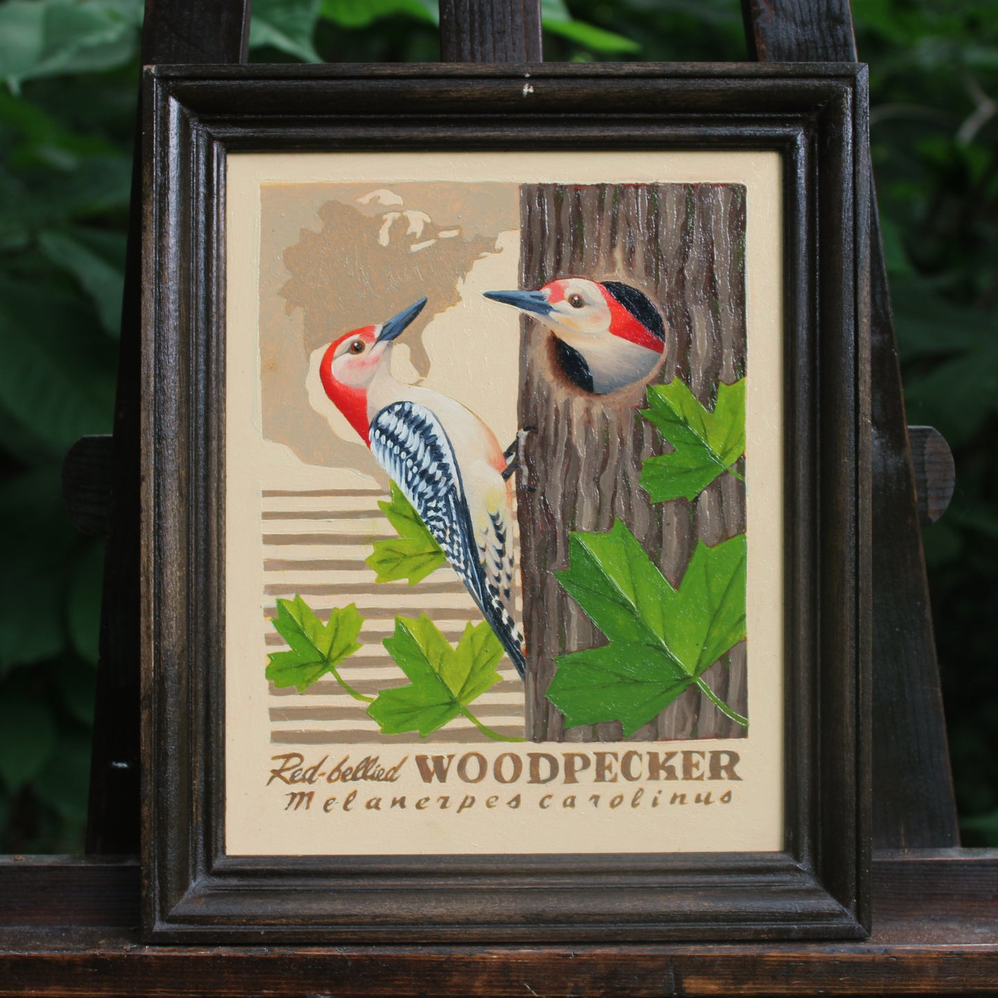 Red-bellied Woodpecker Original Oil Painting