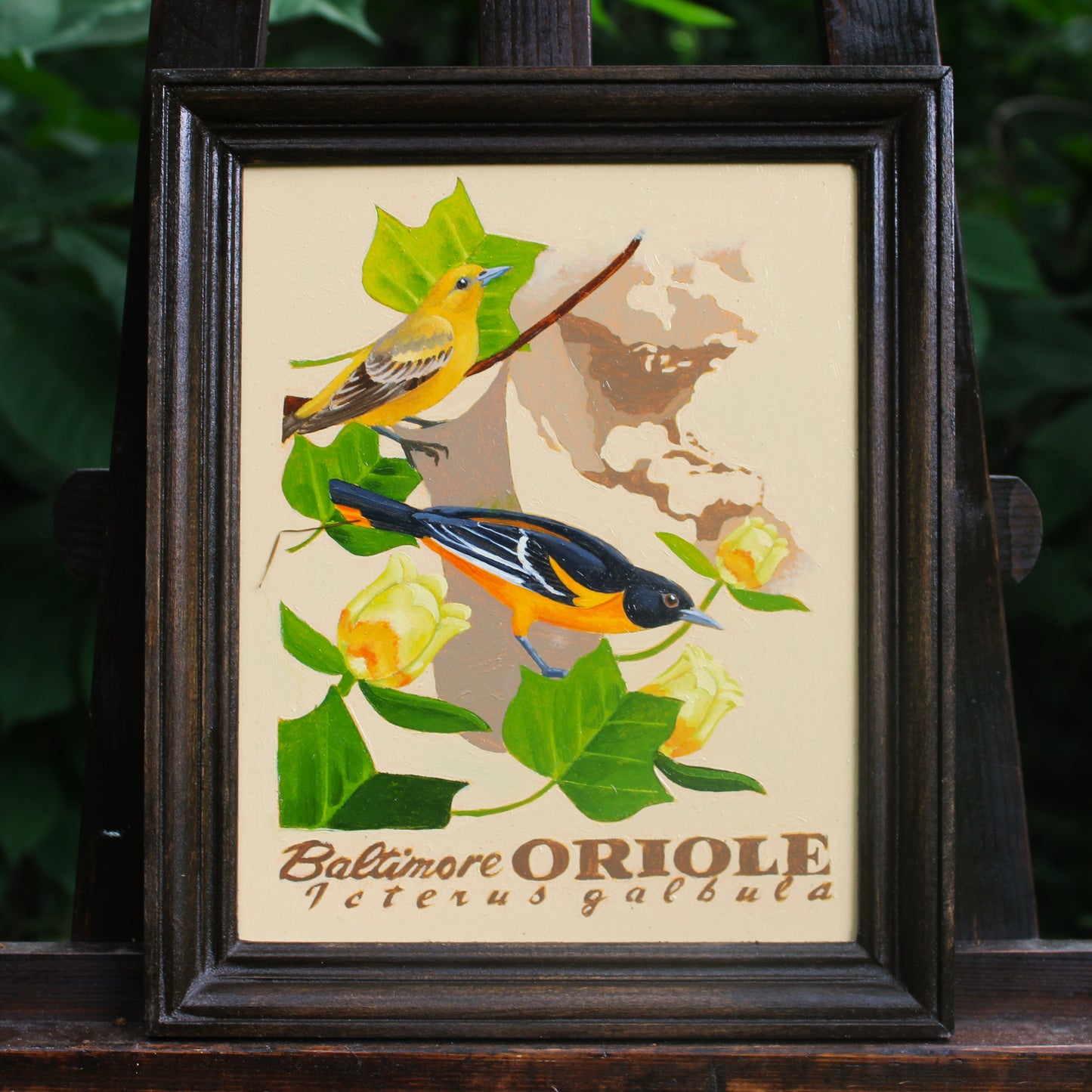 Baltimore Oriole Original Oil Painting