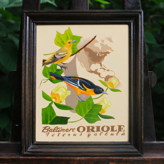Baltimore Oriole Original Oil Painting
