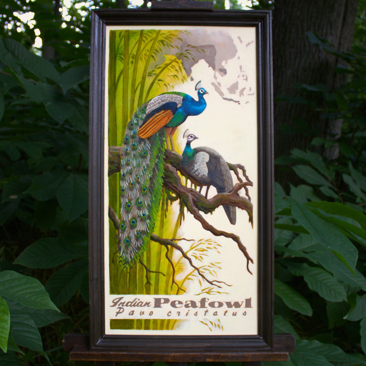 Indian Peafowl Original Oil Painting