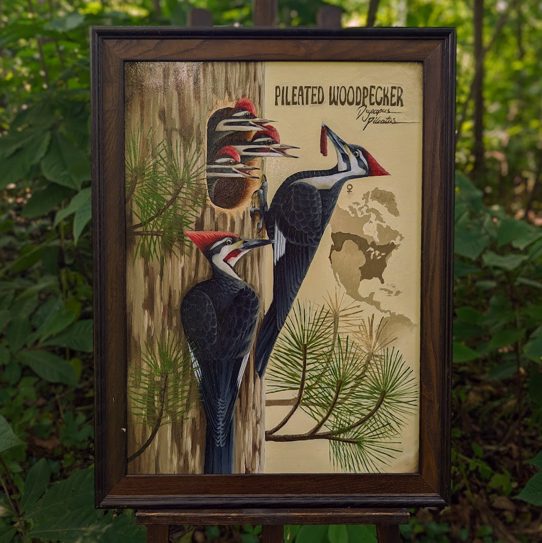 Pileated Woodpecker Original Oil Painting