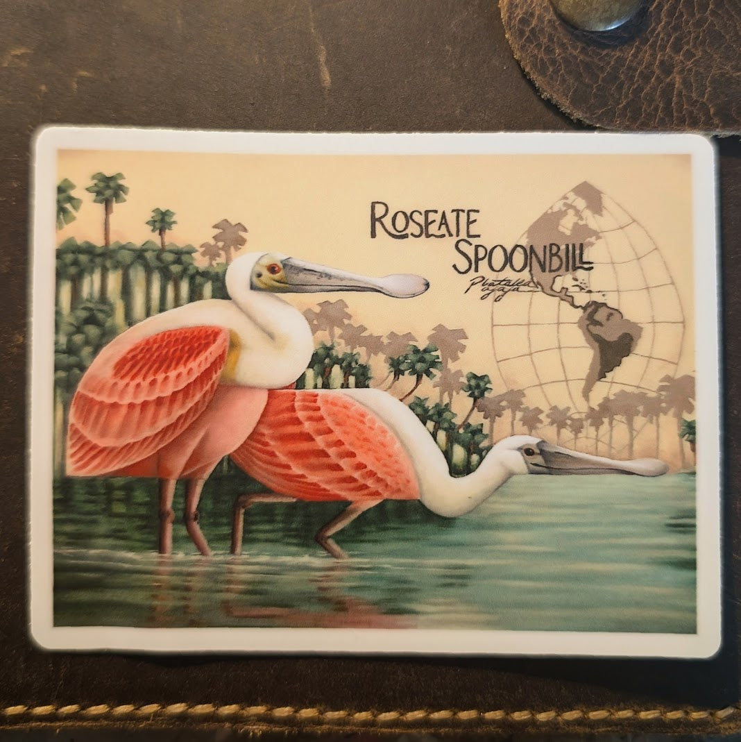 Roseate Spoonbill Vinyl Sticker