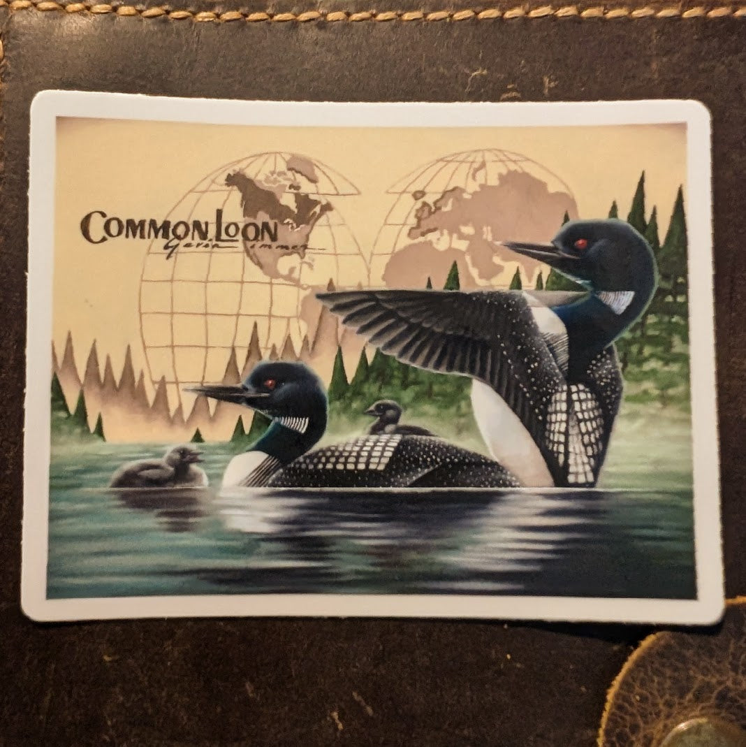 Common Loon Vinyl Sticker