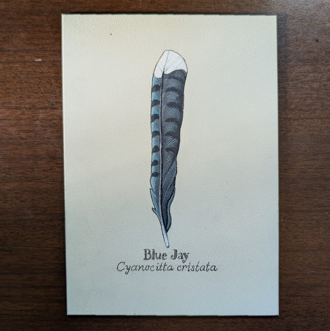 Blue Jay Feather Mini Painting