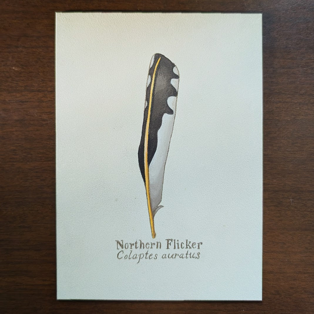 Northern Flicker Feather Mini Painting