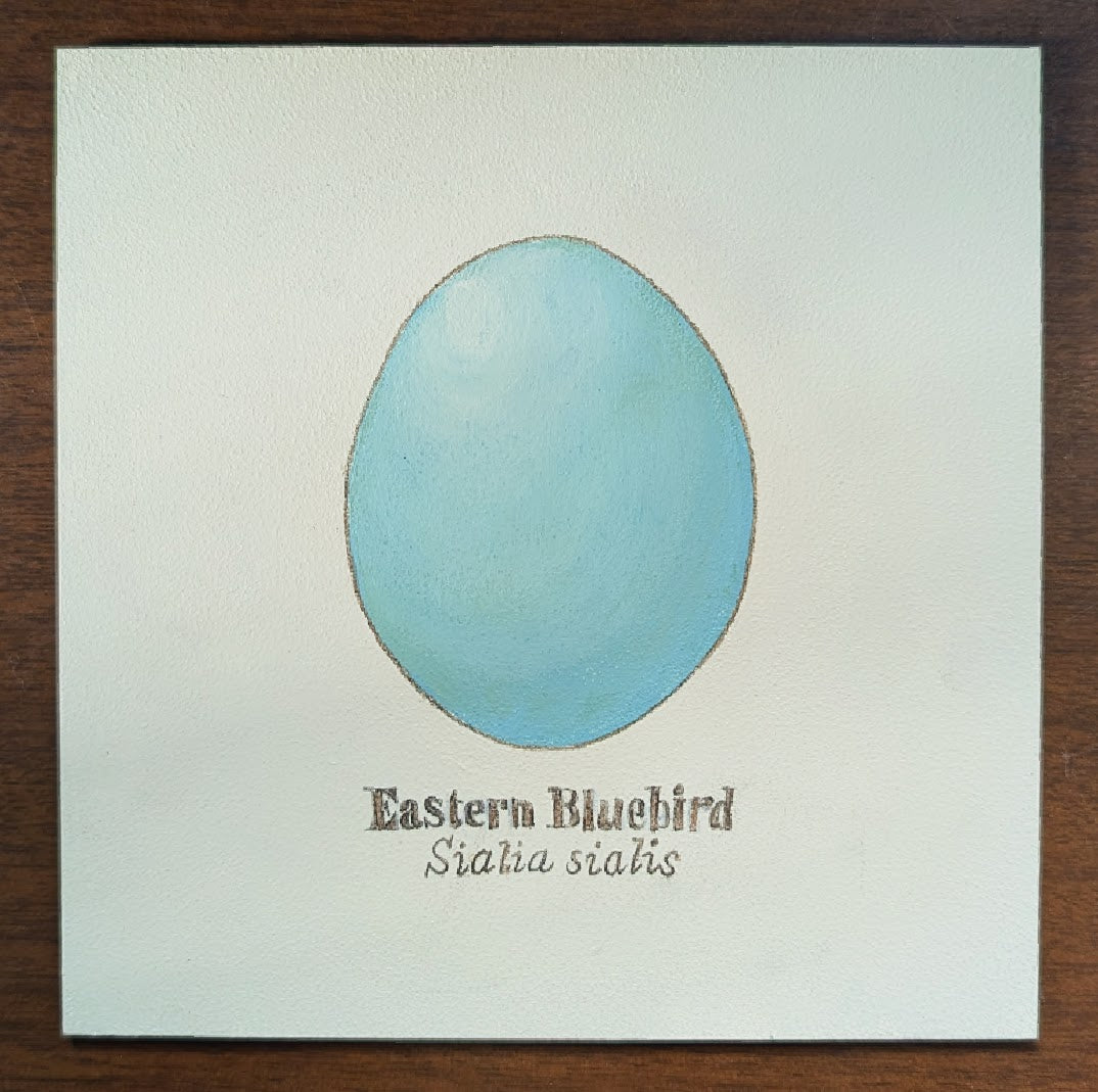 Eastern Bluebird Egg Mini Painting