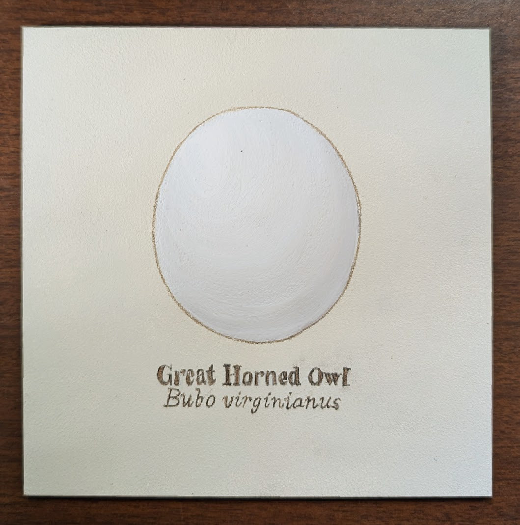 Great Horned Owl Egg Mini Painting