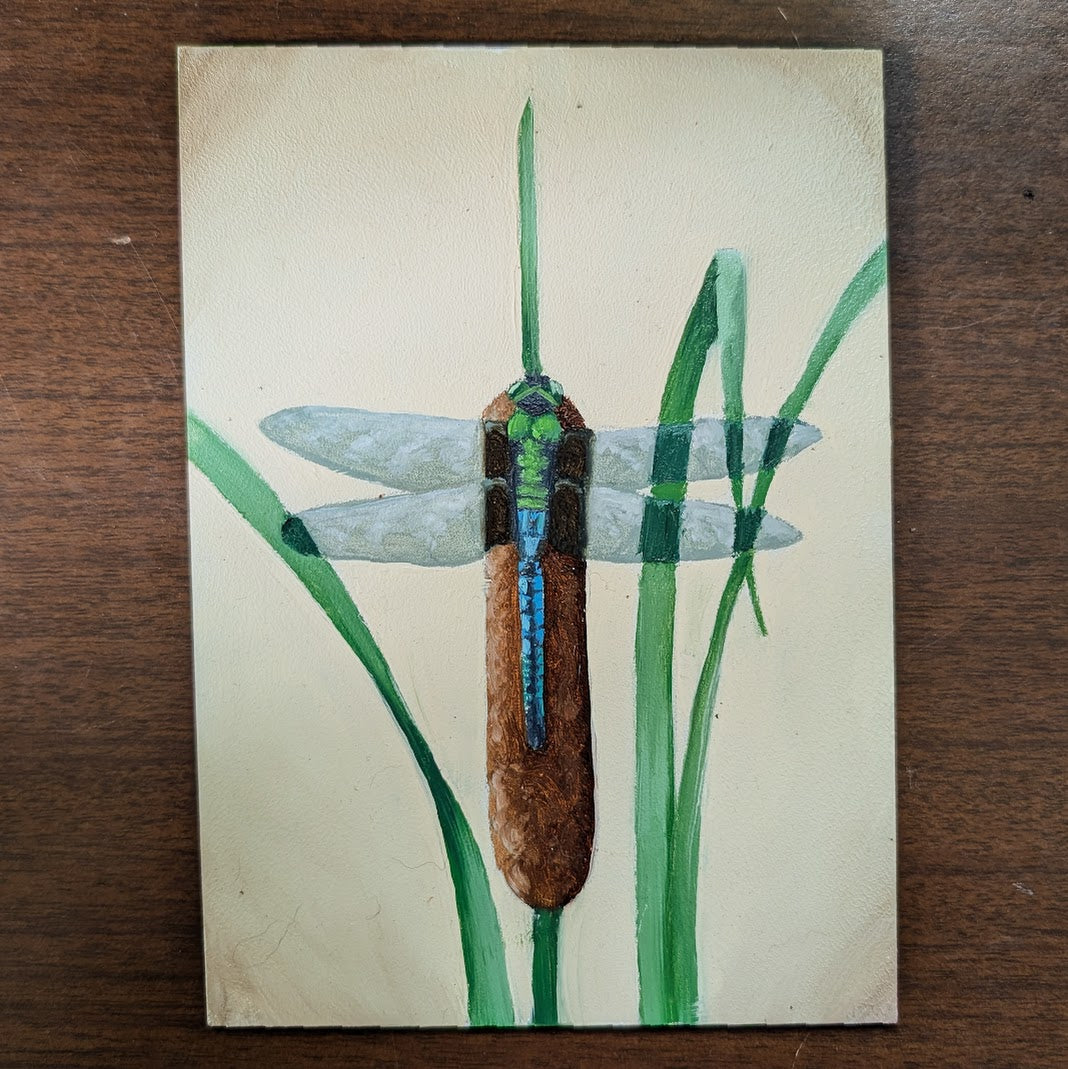 Common Green Darner Mini Painting