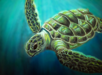 Green Sea Turtle Digital Print