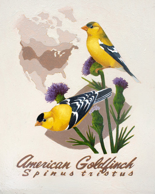American Goldfinch Giclée Print
