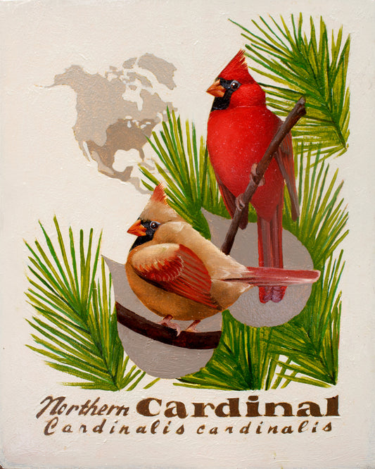 Northern Cardinal Giclée Print