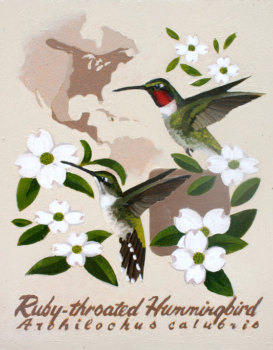 Ruby-throated Hummingbird Giclée Print